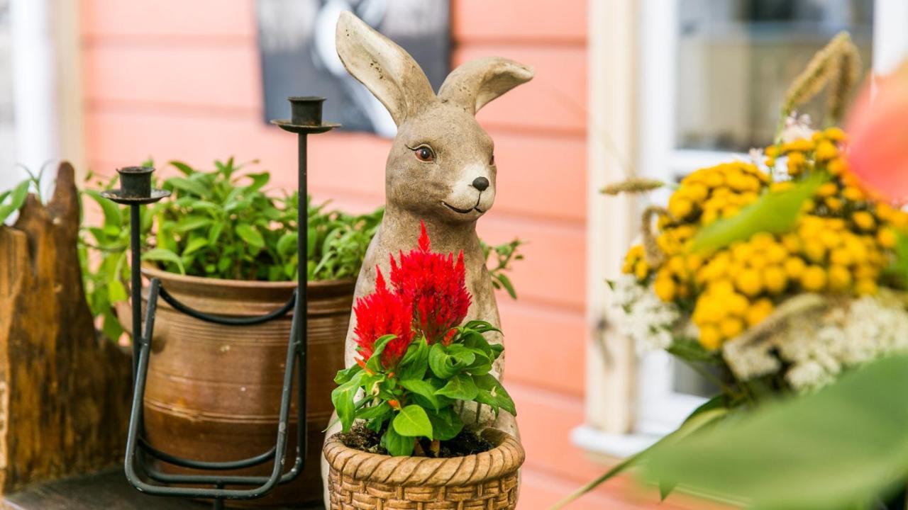 Karja Accommodation Хаапсалу Екстериор снимка